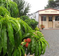Gully Gardens - Tourism Cairns