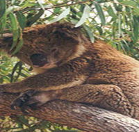 Mikkira Station - Tourism Cairns