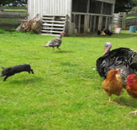 Echo Farm - Tourism Cairns