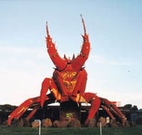 The Big Lobster - Tourism Cairns