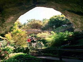 Engelbrecht Cave - Tourism Cairns 0