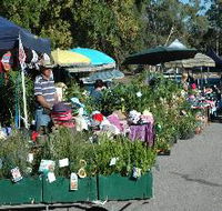 Meadows Monthly Market - Tourism Cairns
