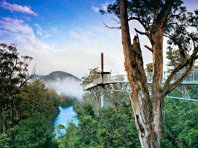  Tourism Cairns