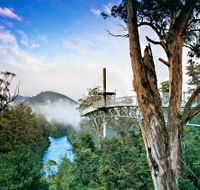 Tahune Adventures Tasmania - Tourism Cairns
