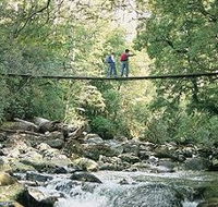 Arve Forest Drive - Tourism Cairns