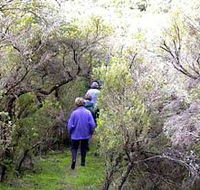 Jack And Hilda McArthur Walk - Tourism Cairns