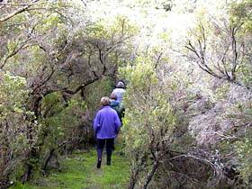 Jack And Hilda McArthur Walk - Tourism Cairns 0