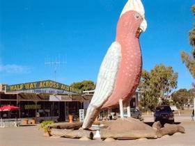  Tourism Cairns