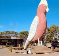 The Big Galah - Tourism Cairns