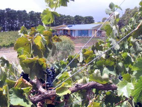 Zimmermann Wine - Tourism Cairns 0
