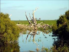  Tourism Cairns