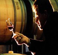Salena Estate Wines - Tourism Cairns