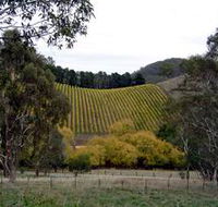 Mt Bera Vineyards - Tourism Cairns