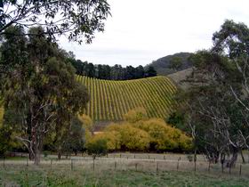 Mt Bera Vineyards - Tourism Cairns 0