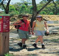 Riesling Trail - Tourism Cairns