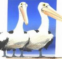 Bay of Shoals Wines - Tourism Cairns