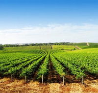 Aldinga Bay Winery - Tourism Cairns