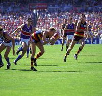 AAMI Stadium Tours - Tourism Cairns