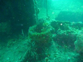 Wallaroo Scuba Club - Tourism Cairns 0