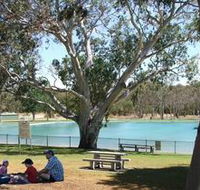 Naracoorte Nature Park and Swimming Lake - Tourism Cairns