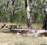 Penola Conservation Park - Tourism Cairns