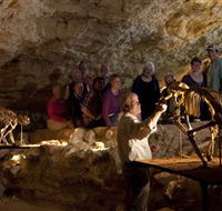 Naracoorte Caves National Park - Tourism Cairns