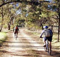 Bike About Mountain Bike Tours And Hire - Tourism Cairns