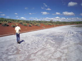 Lake Gairdner National Park - Tourism Cairns 0
