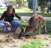 Pendleton Farmstay - Tourism Cairns
