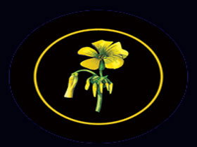 Battle Of Bosworth Wines - Tourism Cairns 0