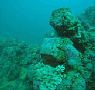 Adelaide's Underwater Heritage Trail - Tourism Cairns