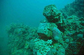 Adelaide's Underwater Heritage Trail - Tourism Cairns 0