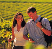 Lady Bay Vineyard - Tourism Cairns