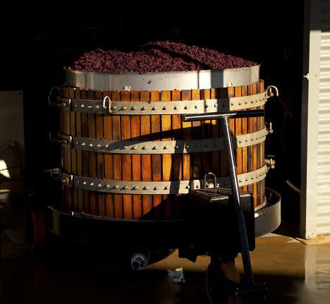 Greenock Creek Wines - Tourism Cairns 1