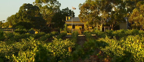 Greenock Creek Wines - Tourism Cairns 2
