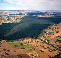 Mount Crawford Forest Reserve - Tourism Cairns