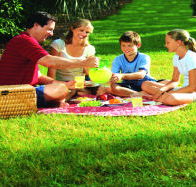 Bruny Island Berry Farm - Tourism Cairns