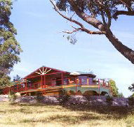 Barringwood Park Vineyard - Tourism Cairns