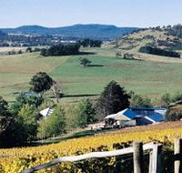 Freycinet Vineyards Pty Ltd - Tourism Cairns