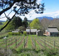 Wilmot Hills Vineyard - Tourism Cairns