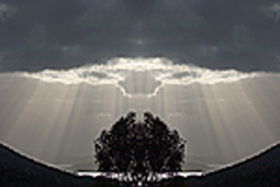 Aart. Gallery Of Fine Art - Tourism Cairns 0