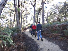  Tourism Cairns