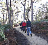 Bridport Walking Track - Tourism Cairns