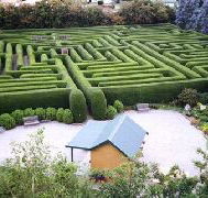 Westbury Maze and Tea Room - Tourism Cairns