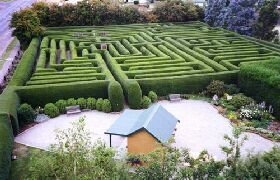 Westbury Maze And Tea Room - Tourism Cairns 0