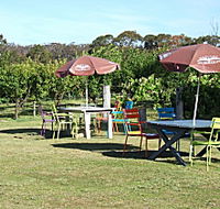Cerise Brook Orchard  Family Golf - Tourism Cairns