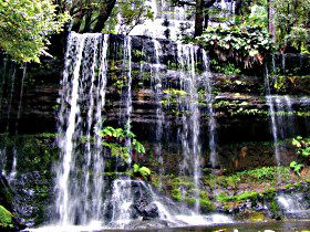 National Park TAS Tourism Cairns