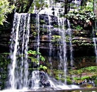 Mt Field National Park - Tourism Cairns