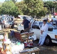 Don Village Market - Tourism Cairns