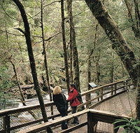 Franklin River Nature Trail - Tourism Cairns
